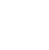 facet_wolf.png