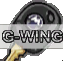 G-WING_key.png