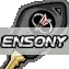 Ensony_key.png