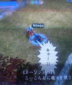 Ninja 01.jpg
