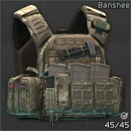 Banshee_cell.png