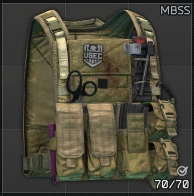 Eagle Allied Industries MBSS plate carrier_cell.png