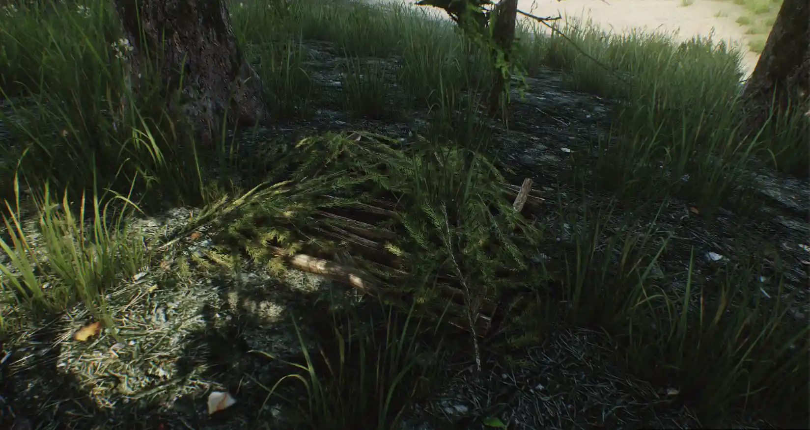 Ground_Cache.jpg Ground_Cache.jpg
