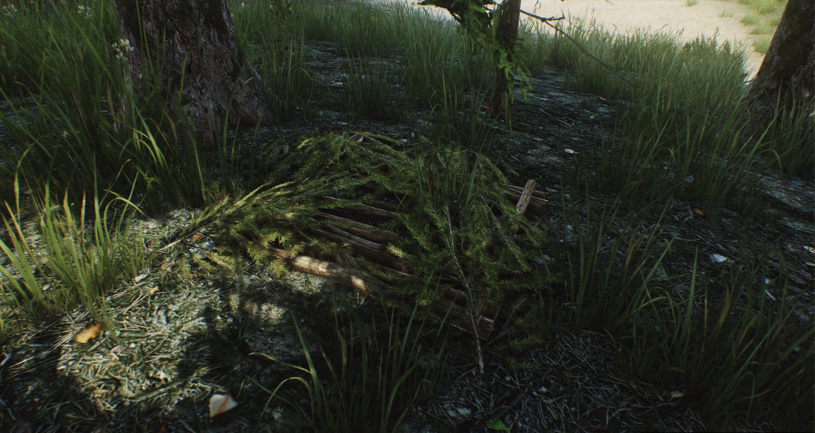 Ground_Cache.jpg Ground_Cache.jpg