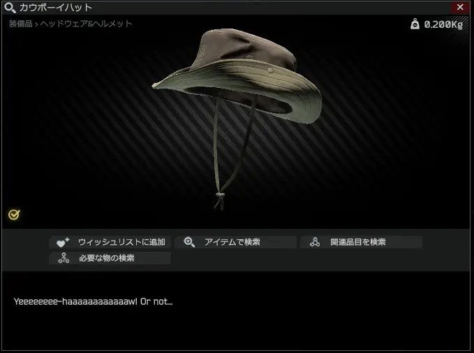 Kinda cowboy hat3.PNG