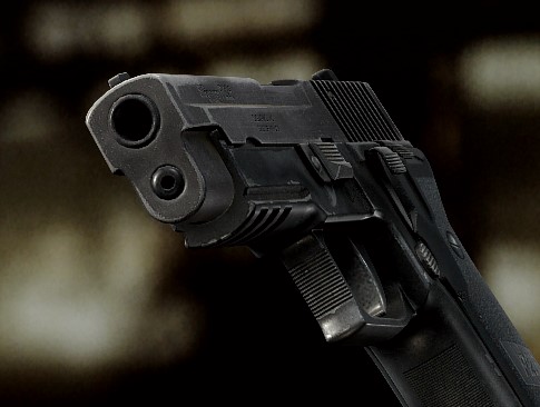 P226　レイル.jpg