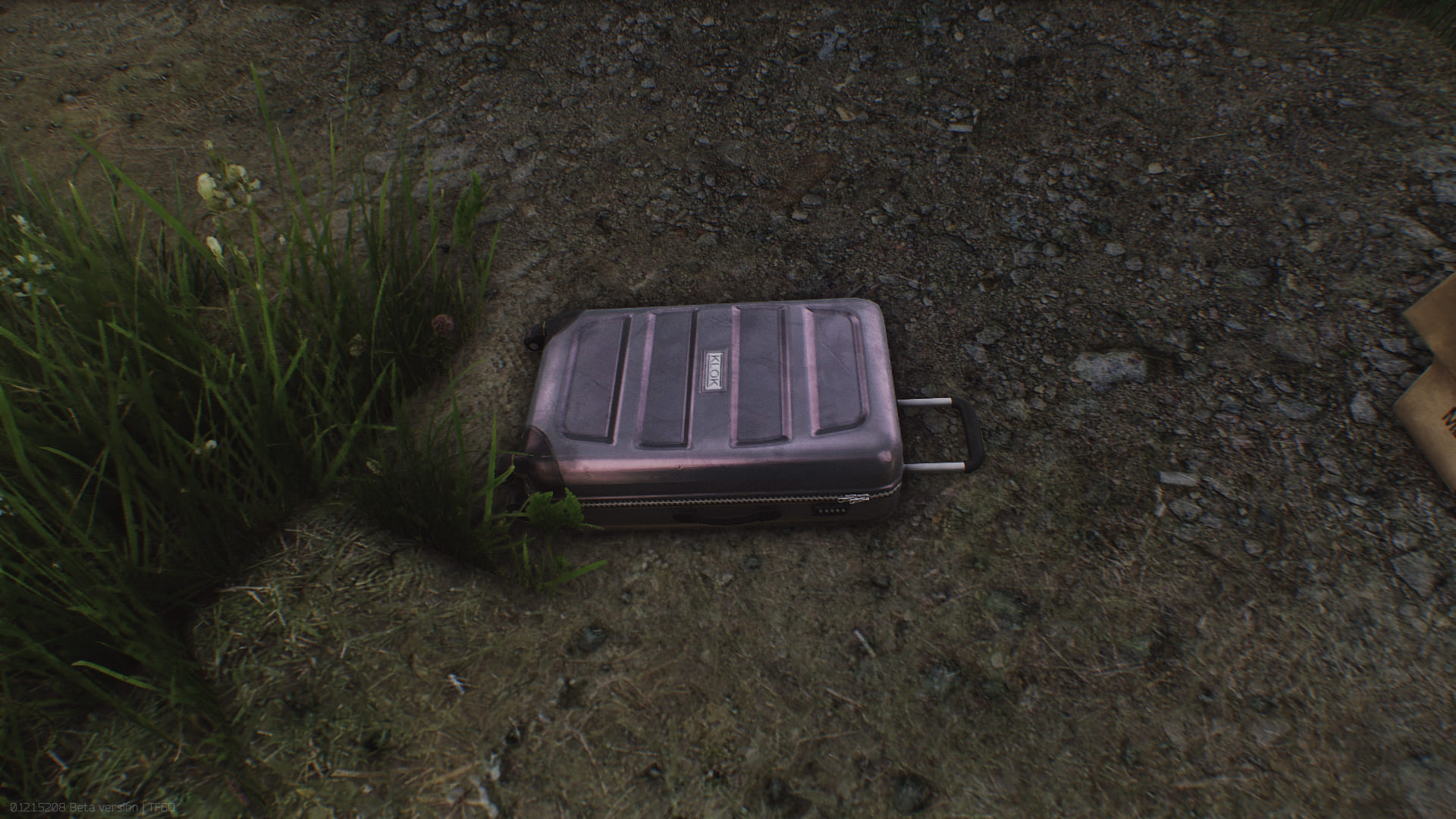 Plastic_suitcase.jpg Plastic_suitcase.jpg