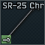 SR-25_Chr_icon.png