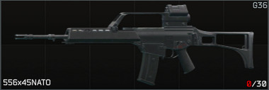 W-AR-G36-icon.jpg