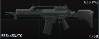 W-AR-G36_KV2-icon.jpg