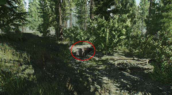 Woods Escape From Tarkov Wiki