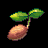 Rosalia_SproutSeed.png