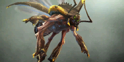 UnitNecrophagesZombatLarge.png UnitNecrophagesZombatLarge.png