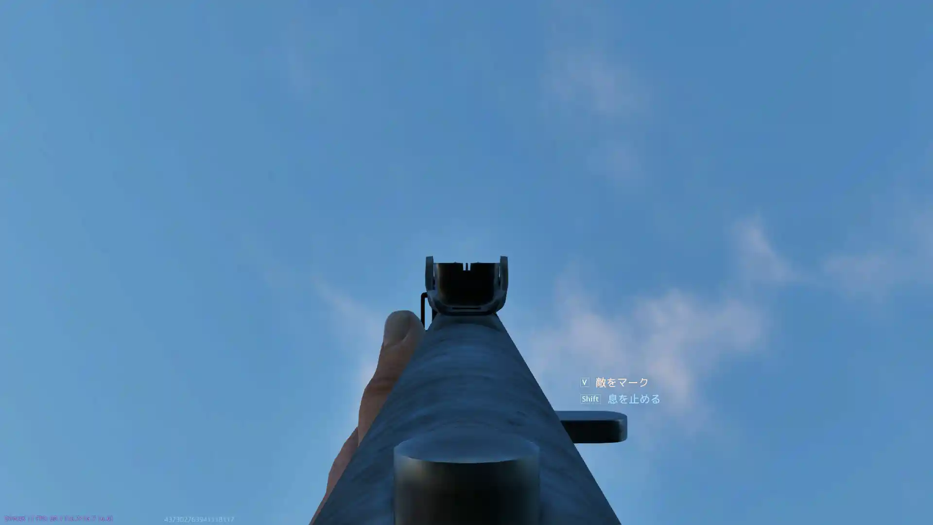MP-719(r) Ironsight.jpg