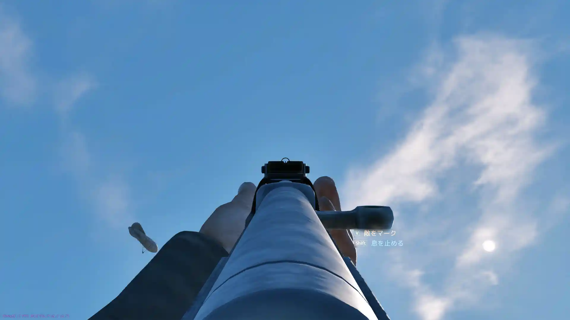 SVT-38 Ironsight.jpg