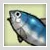 アイコン新鮮な魚.jpg