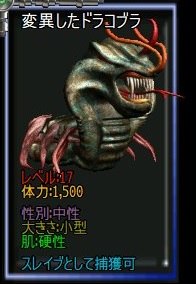 変異ドラコ.jpg