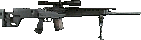 SG550 Sniper.PNG