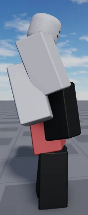 Piggyback R6 Side.png