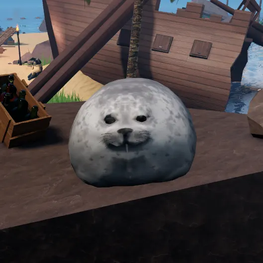 一匹のアザラシ