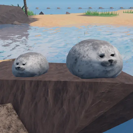 二匹のアザラシ