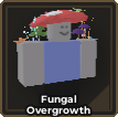 Fungal Overgrowth.png