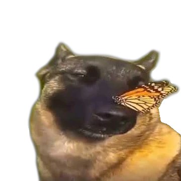 No Enemies.png No Enemies.png