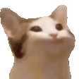 Popcat gif.gif Popcat gif.gif