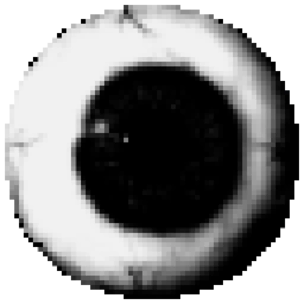 Prunsel.png Prunsel.png