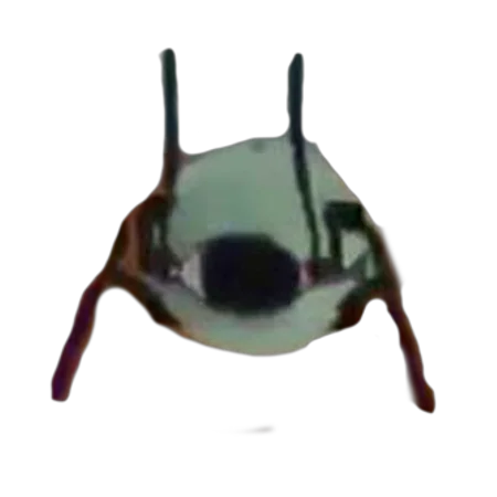WheatleyCrab.png