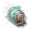 icon04_09.png