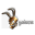 guristas.png guristas.png