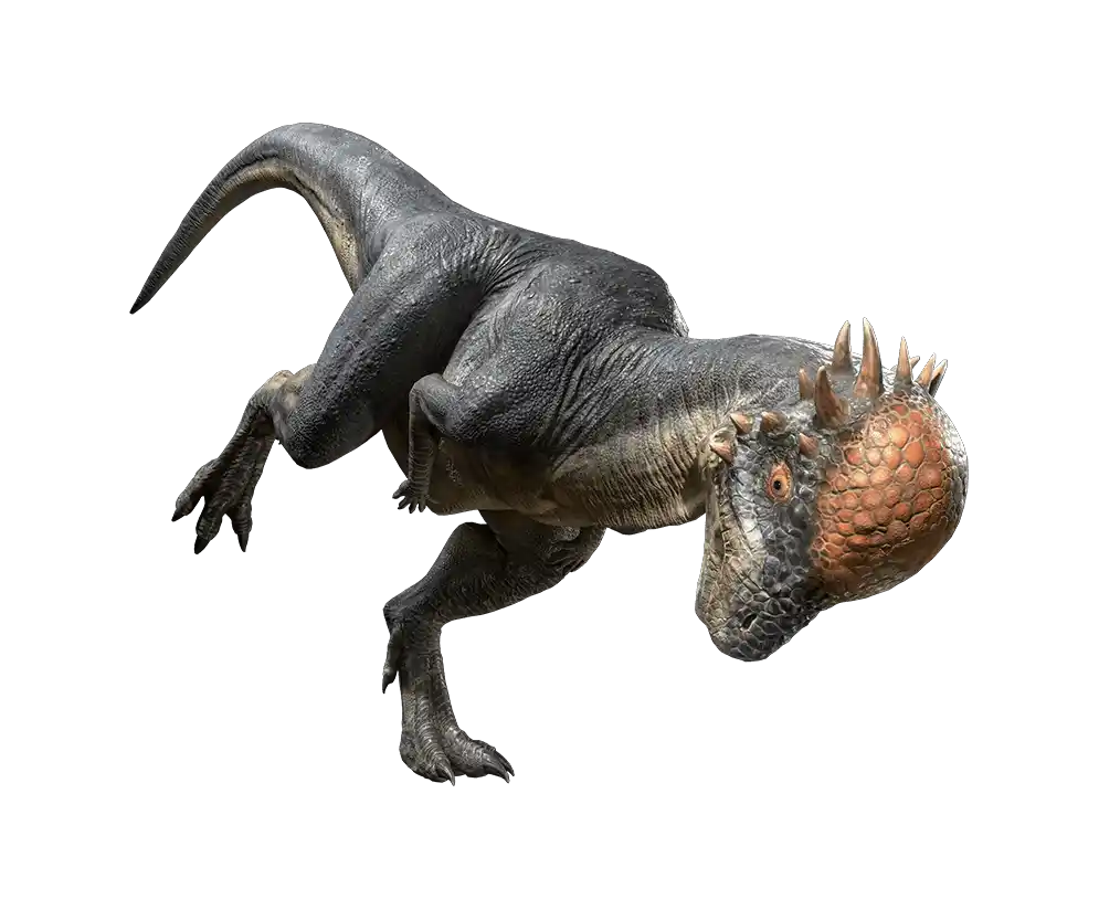 パキケファロサウルス.png