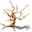 32px-dead-tree.png