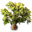 32px-tree-05.png