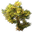 32px-tree-07.png