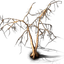 64px-dry-hairy-tree.png