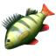 64px-fish.png