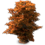 64px-tree-02-red.png