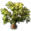 64px-tree-05.png