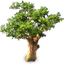 64px-tree-08.png