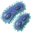 32px-iron-bacteria.png