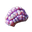 32px-jellynut-1.png