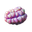 32px-jellynut-3.png