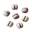 32px-jellynut-seed.png