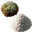 32px-nutrients-from-spoilage.png