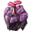 64px-artificial-jellynut-soil.png