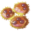 64px-copper-bacteria.png