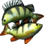 64px-fish-breeding.png