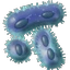 64px-iron-bacteria-1.png